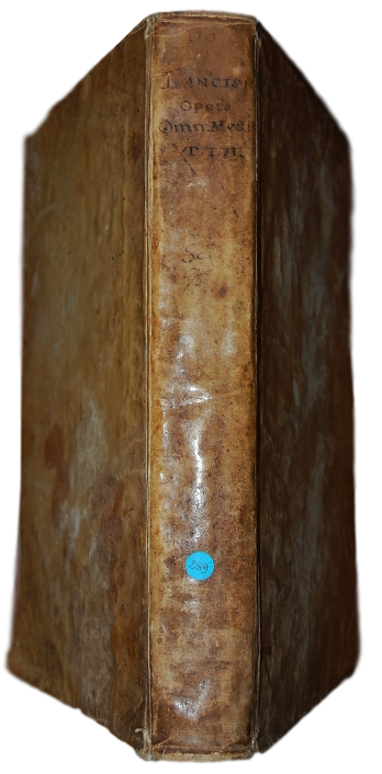 dsc_0378_clipped_rev_1