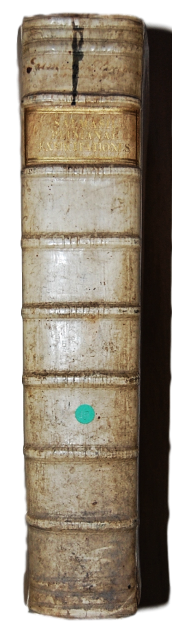 DSC_0347_clipped_rev_1